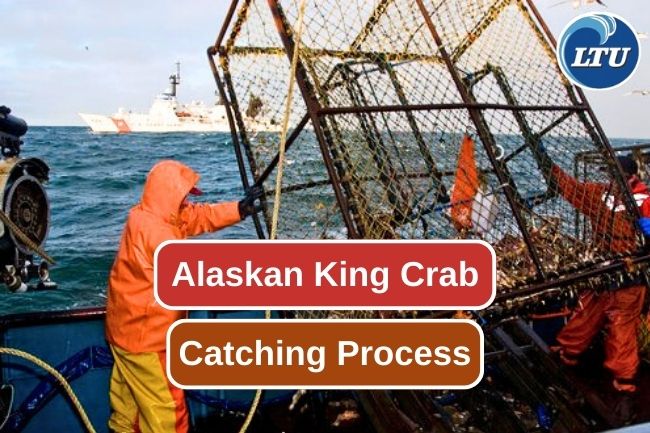 Exploring the Thrilling Alaskan King Crab Fishing Journey